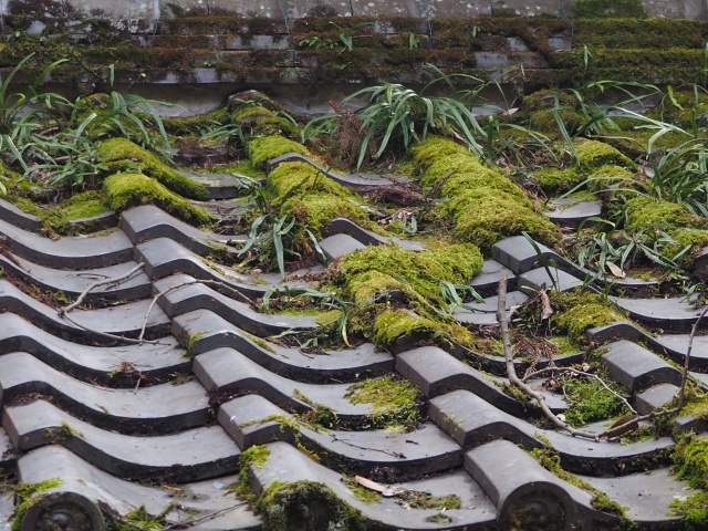 苔や草が生えた屋根瓦