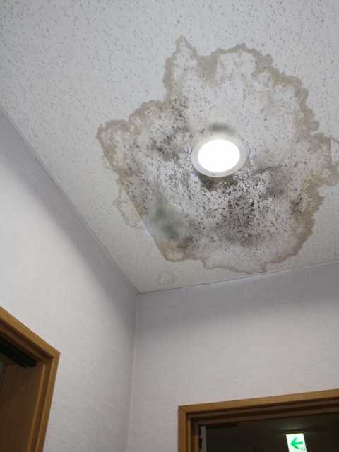 雨漏りで天井にしみができている
roof leak stain on the ceiling